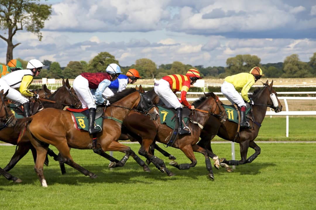 Horse race in motion with jockeys at full gallop